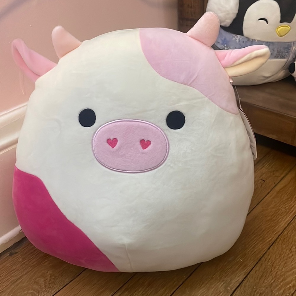 18in caedyn Squishmallow RARE
